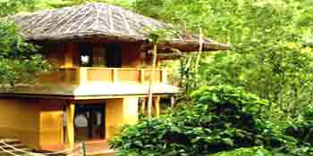 Greenberg Holiday Resorts, Kulamavu
