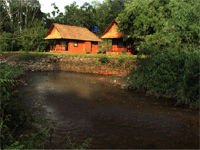 Stream Valley Cottages, Wayanad