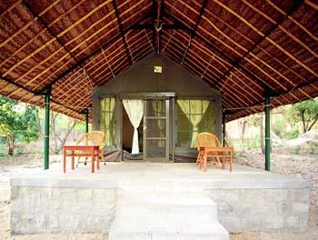Jungle Lodges Doddamakali Nature Resort 