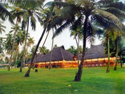 A far view of the Marari Beach Resort