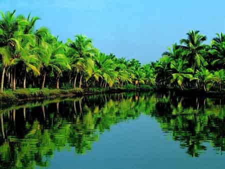 Another view of the backwaters of Kerala