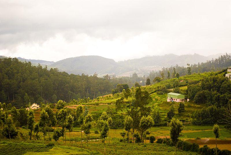 Nilgiris hills