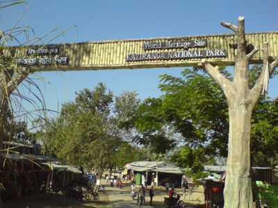 Kaziranga national park