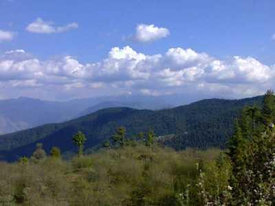 view of Shimla hill