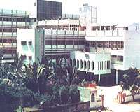 Hotel Palmgrove
