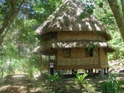 Barefoot at Havelock (formerly Jungle Resort)