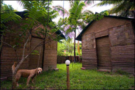 Island Vinnies, Havelock Island