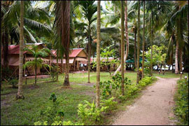 Island Vinnies, Havelock Island