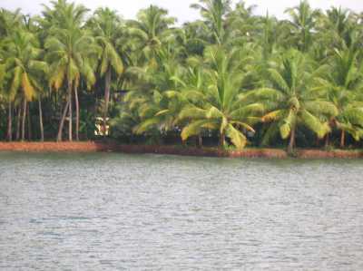 Nalanda Resorts. Kasaragod 