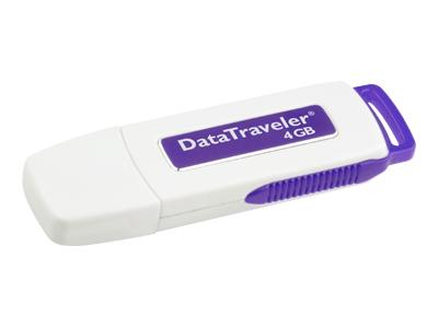 Kingston Data Traveller