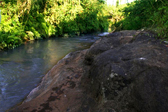 Planet Green Plantation Resorts , Wayanad