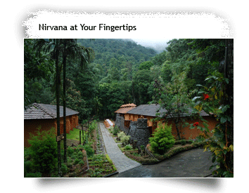 Blue Ginger Resorts, Wayanad