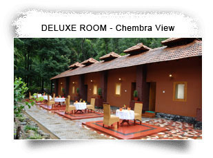 Blue Ginger Resorts, Wayanad