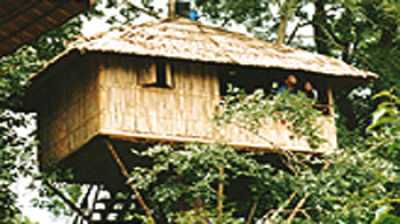 Stream Valley Cottages, Wayanad