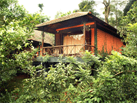 Stream Valley Cottages, Wayanad