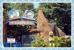 Essel World, Mumbai 