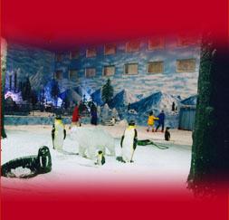 Snow World, Hyderabad 