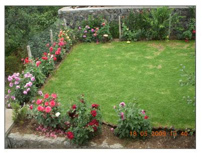 Garden in Kodai Homestay