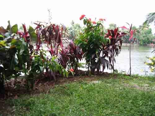 View of the Backwaters from the Villa 