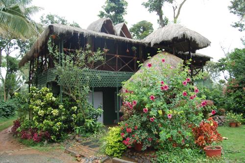 Bamboo loft greenery view