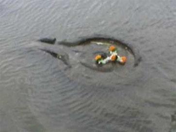 The famous Shiv ling at Kihim