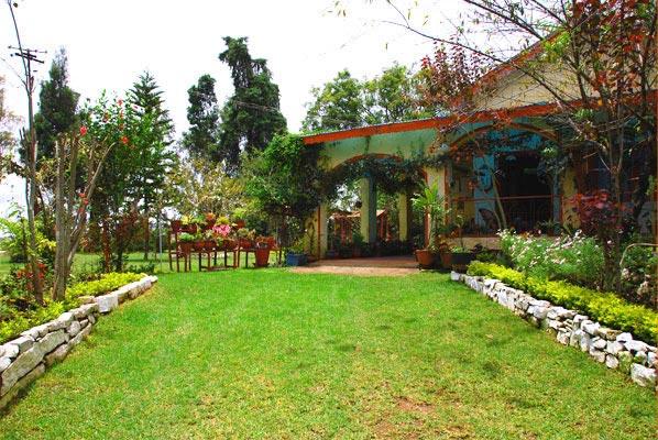 Private Garden at Orange Mist