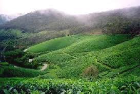 Munnar