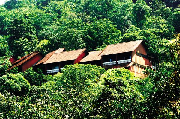 Top view of Greeshmam Resort