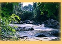 Picnic spot near the alath cad Estate 