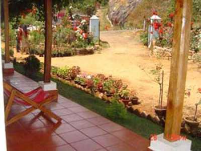 View of the gate and the Gardens at Homestay