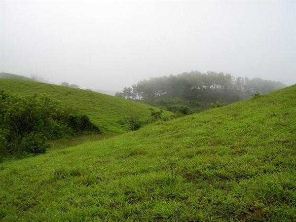 Grass lands  of Vagamon