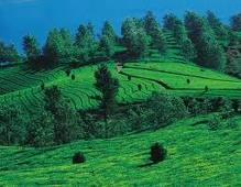 Coorg