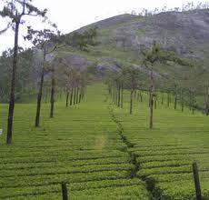 Coorg 