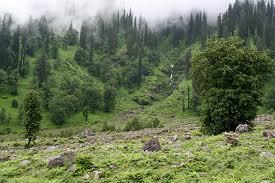 Manali