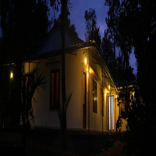 Bamboo Nest View in the night