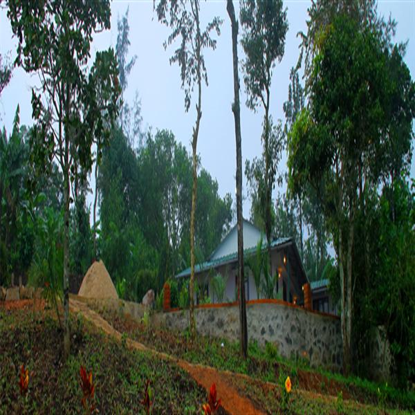 Bamboo nest one exterior view