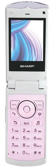 BLINK (SH6017D) sharp photos