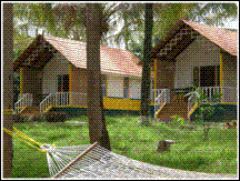 Deluxe Cottage of Parumpara Holiday Resort, Coorg