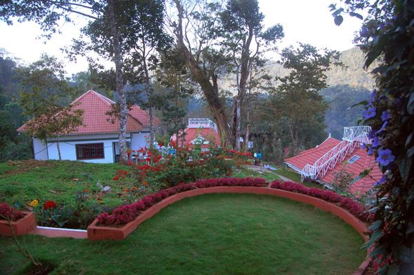 Birds Valley Resort, Munnar