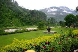 Shikhar Nature Resort landscape and garden