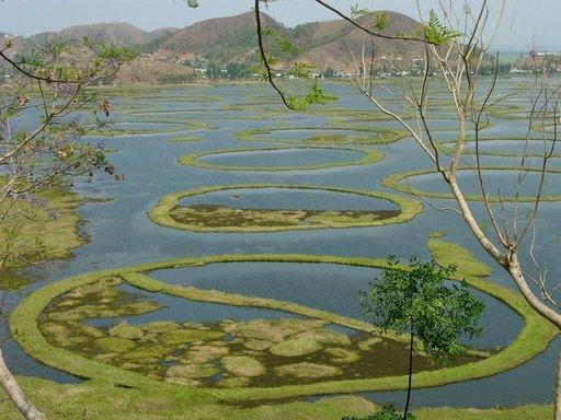 Loktak Lake