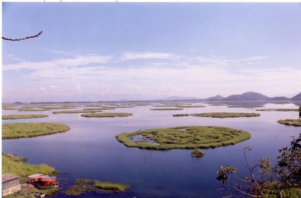 Loktak lake view