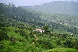 Ranikhet