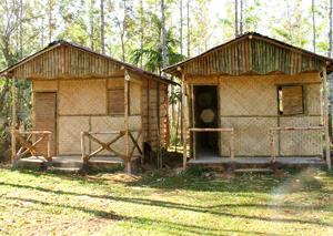 bamboo hut