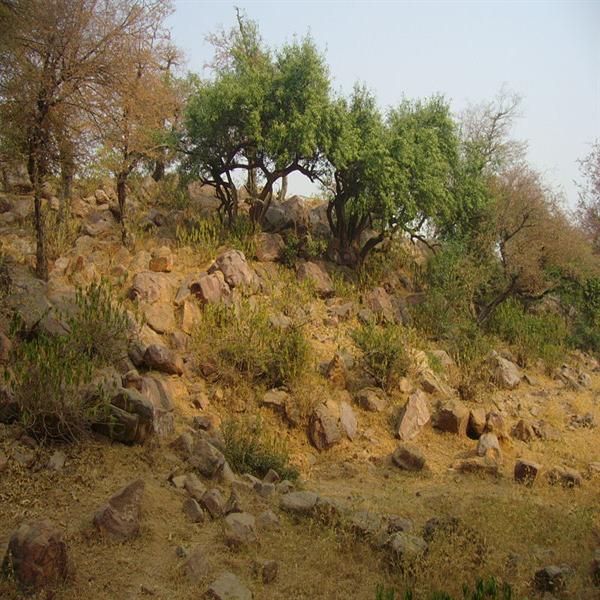 Govardhan Hill