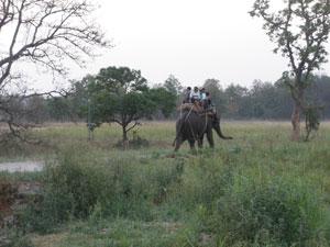 View of the Elephant Safari at Jim Corbett Park