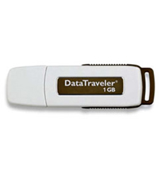 Kingston 1GB Pendrive 