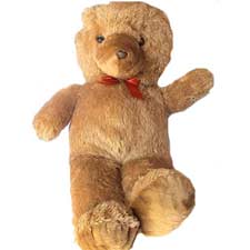 Premium Brown Teddy